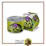 کنسرو کرفس سرخ شده گیلانی 460 گرم 2 کرفس سرخ شده 1