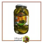 خیارشور